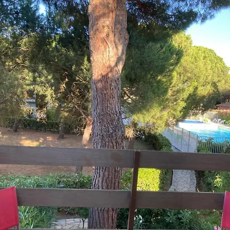 Piscine Proche Village Naturiste - Pinede *
