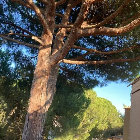 Piscine Proche Village Naturiste - Pinede Apartment